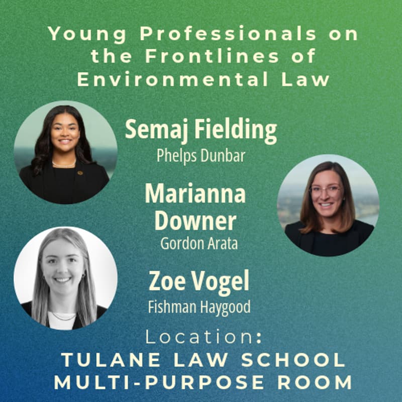 Cover Image for Young Professionals on the Frontlines of Environmental Law