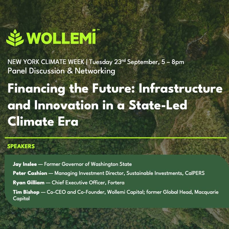 Cover Image for Financing the Future: Infrastructure and Innovation in a State-Led Climate Era
