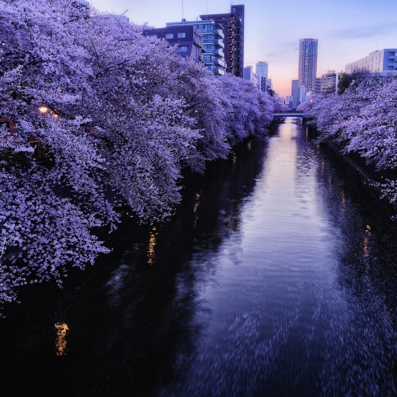 Cover Image for Deep Tech Forum Tokyo 2026