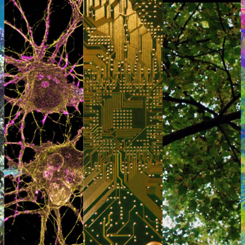 Cover Image for UK FRO Residency Symposium