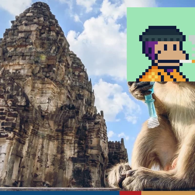 Cover Image for Monke DAO Meets Thai