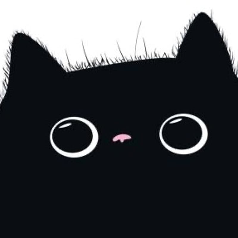 Cover Image for Diora & Rylan’s 21st 😎