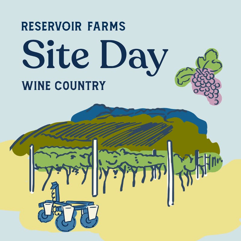 Cover Image for Site Day in Wine Country