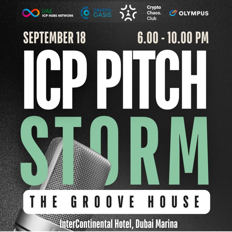 Cover Image for PITCH STORM - Olympus Edition