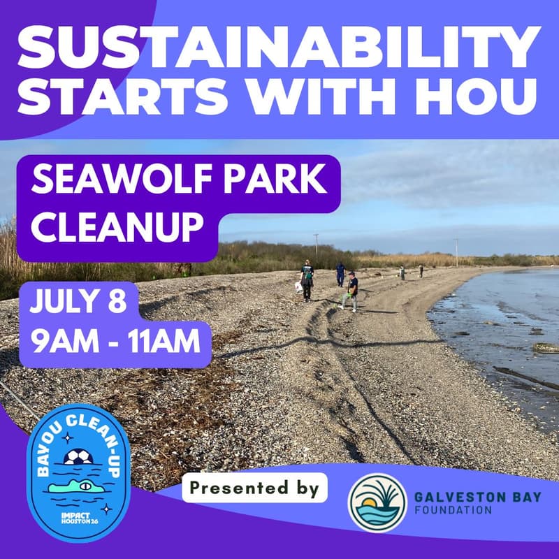 Cover Image for Galveston Bay Foundation Seawolf Park Cleanup