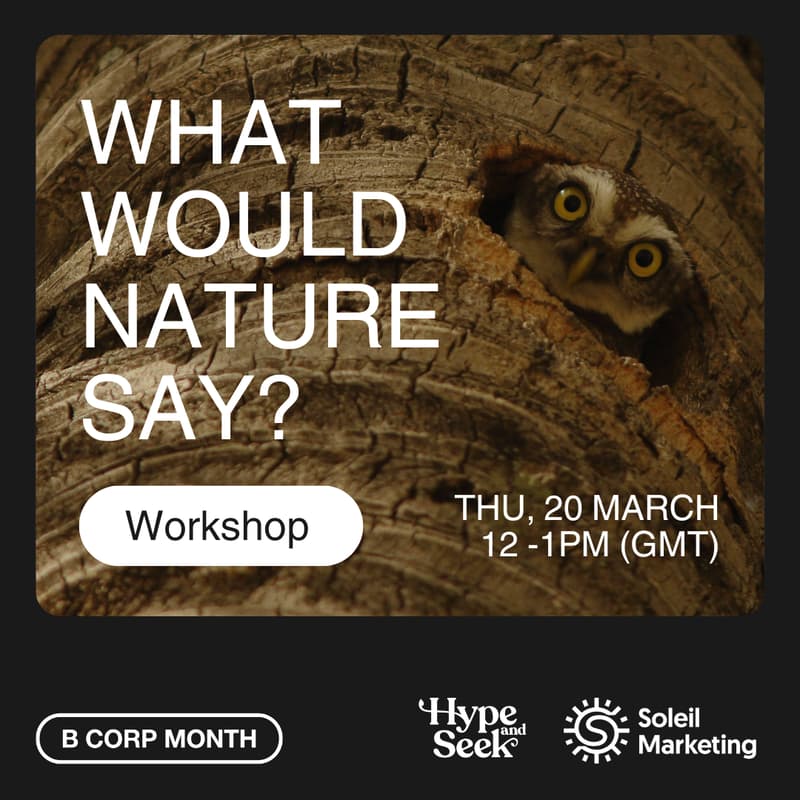 Cover Image for What Would Nature Say? Bringing Regenerative Thinking into Your Brand and Marketing Strategy