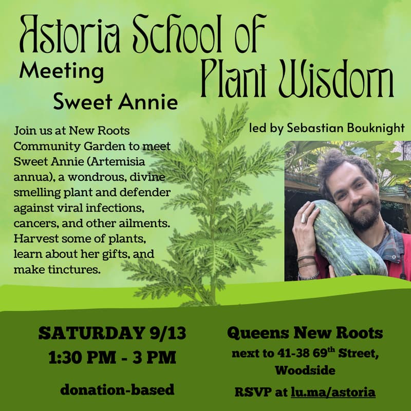 Cover Image for Meeting Sweet Annie