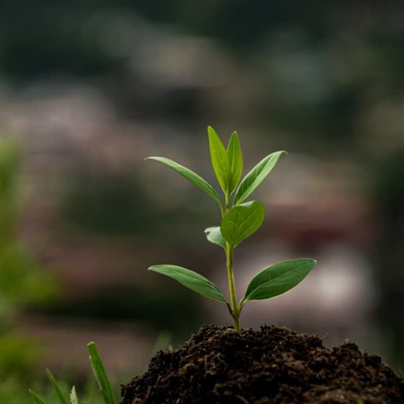 Cover Image for Power Coffee & Cocktails: Innovation. Investment. Life Sciences & Healthcare.