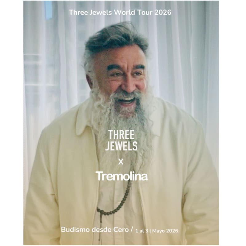 Cover Image for Budismo desde Cero