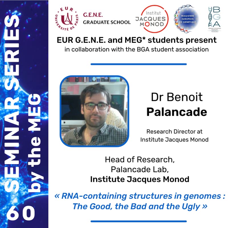 Cover Image for RNA-containing structures in genomes : The Good, the Bad and the Ugly, Dr Benoit Palancade