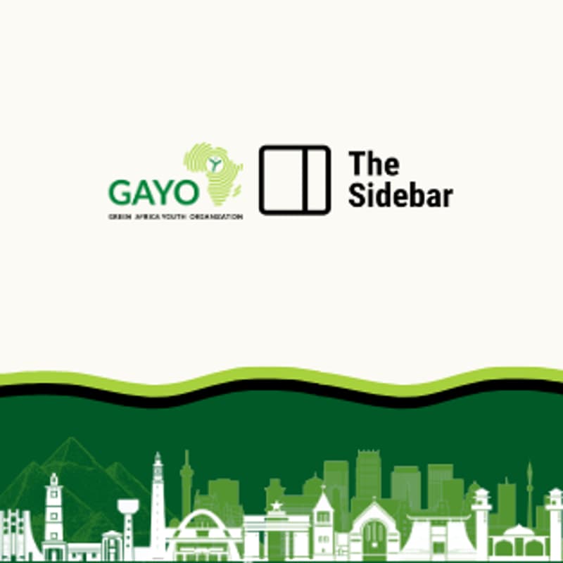 Cover Image for Skills for Africa’s Green Transition: Building a Skills-to-Jobs Pipeline for a Just and Inclusive Future