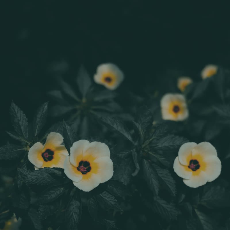 Cover Image for Resumes That Resonate: Retreat Night