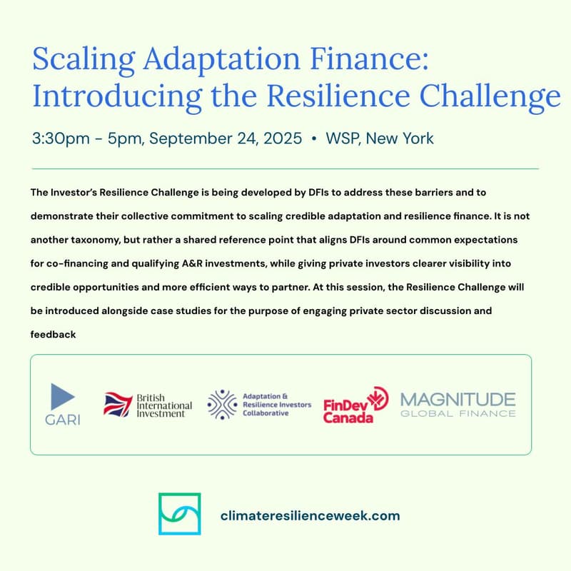 Cover Image for Scaling Adaptation Finance: Introducing the Resilience Challenge