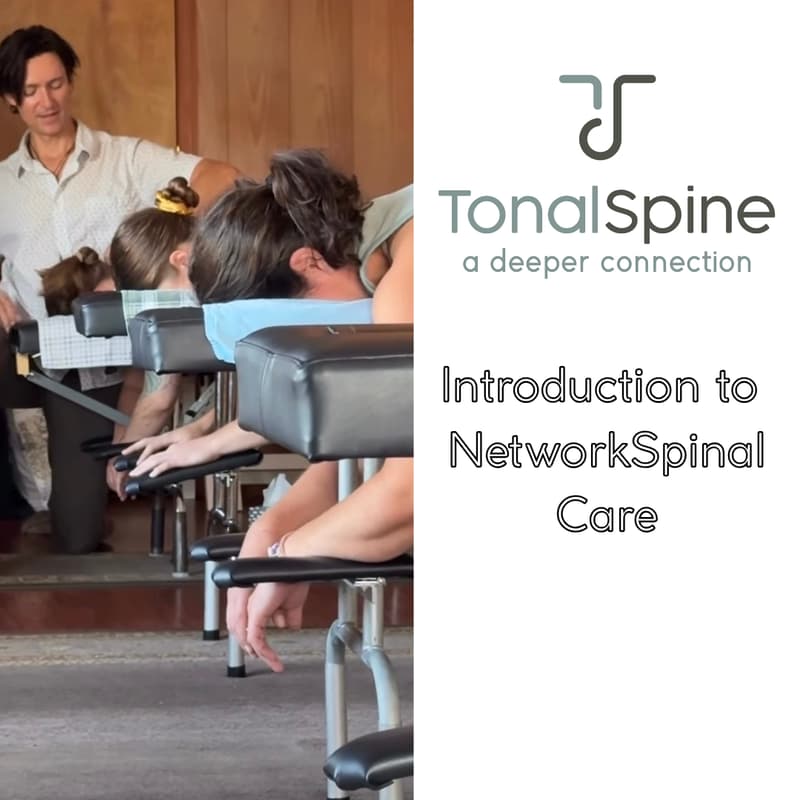 Cover Image for Network Spinal: An Introduction to Nervous System Care
