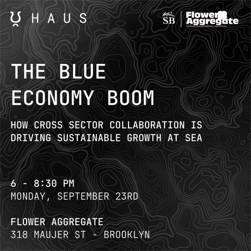 Cover Image for THE BLUE ECONOMY BOOM: How cross-sector collaboration is driving sustainable growth at sea