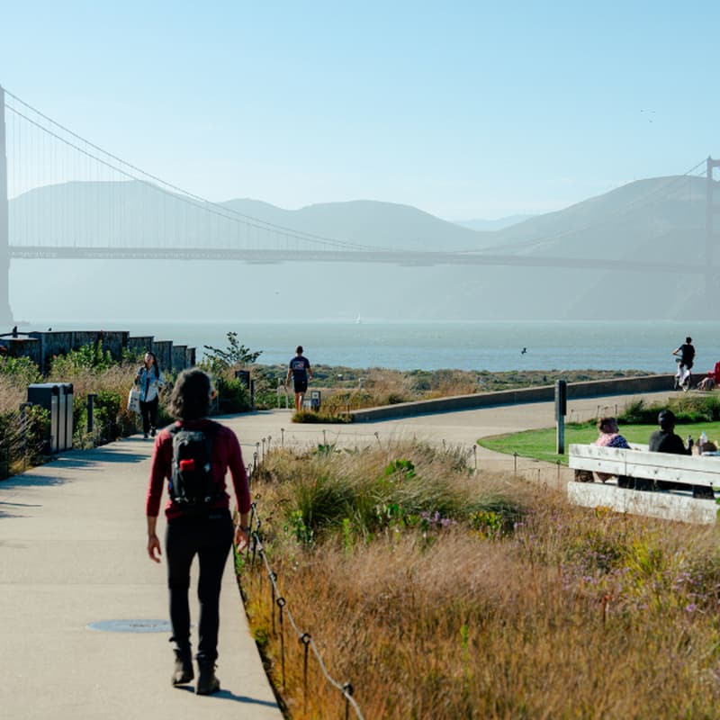 Cover Image for Cross-Sector Climate Leadership for a Low-Carbon City