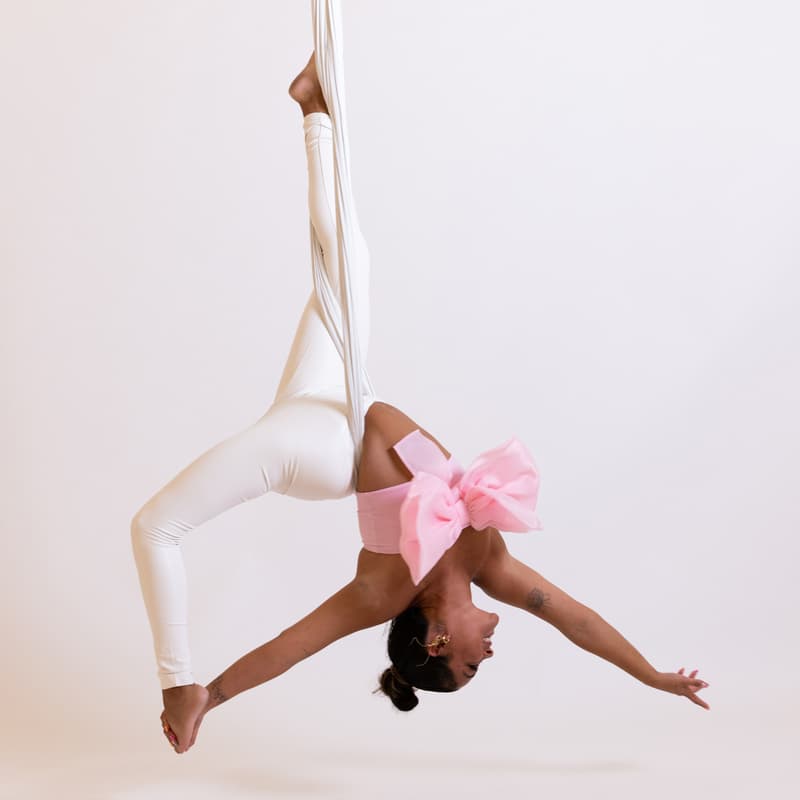 Cover Image for Aerial Basics Teacher Training