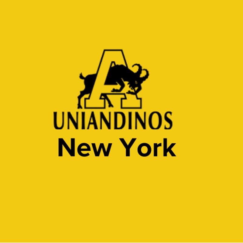 Cover Image for Global Picnic Uniandinos en NY