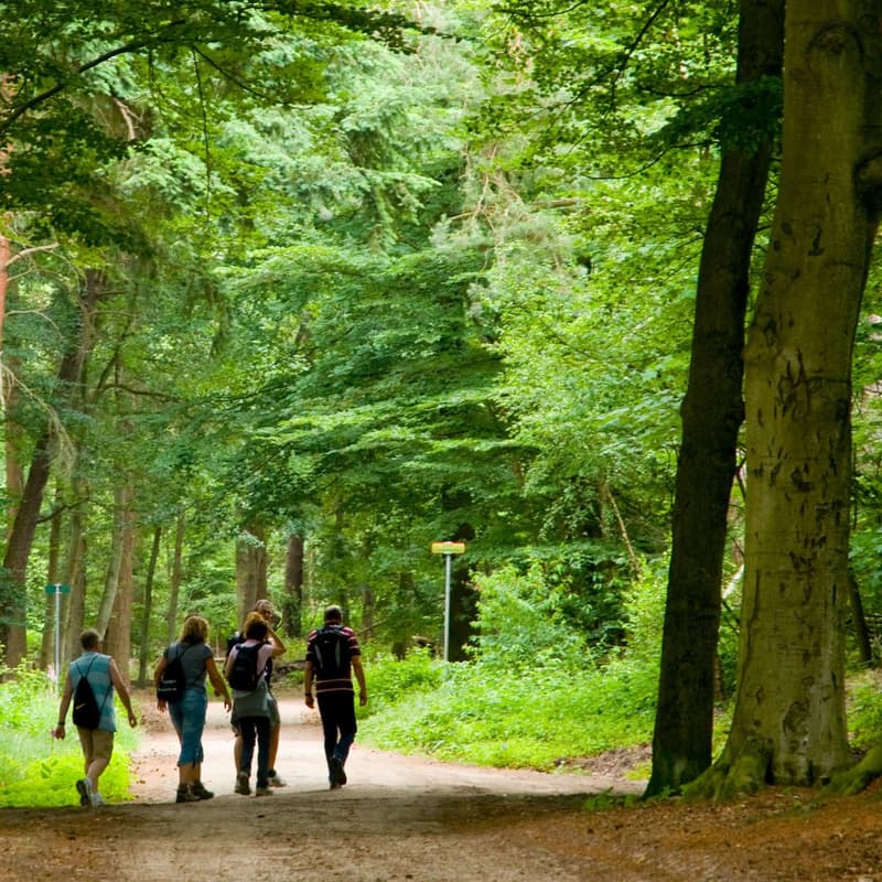 Cover Image for NetWalking - Professional Women's Network X ATTIKA