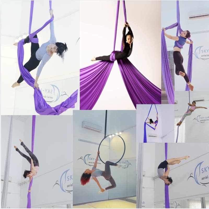 Cover Image for 'This is Us' - Skylab Aerial Arts Showcase (5th Anniversary)