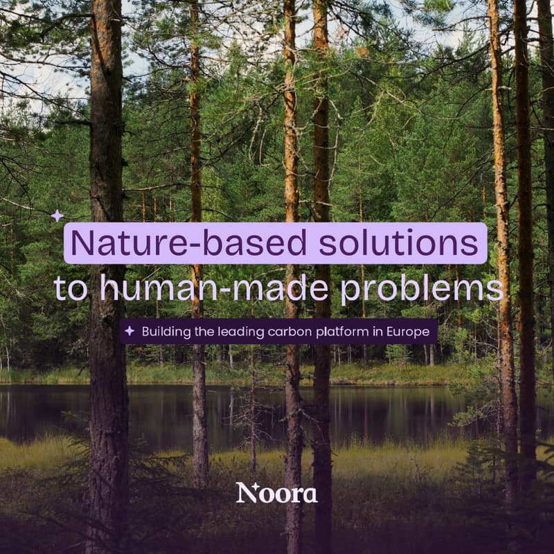 Cover Image for 🌲 Noora Investor Day 🌲