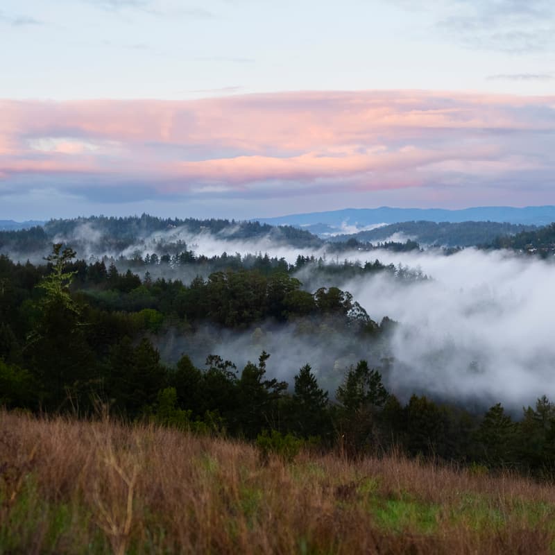 Cover Image for Planetary Health & Innovation Panel