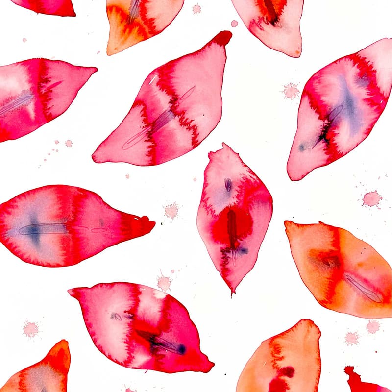 Cover Image for Från Skam Till Nyfikenhet