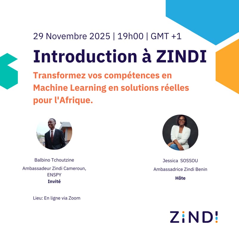 Cover Image for Introduction à ZINDI