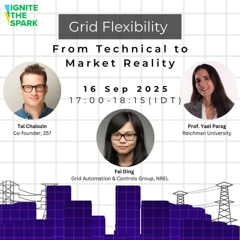 Cover Image for Grid Flexibility: From Technical to Market Reality