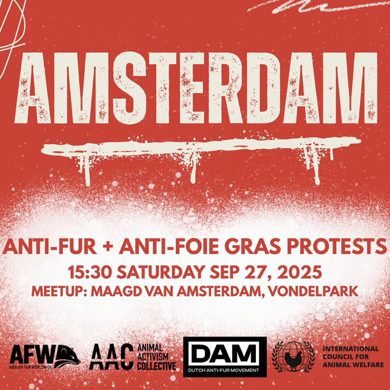Cover Image for Amsterdam: Anti-fur + Anti-foie gras protests