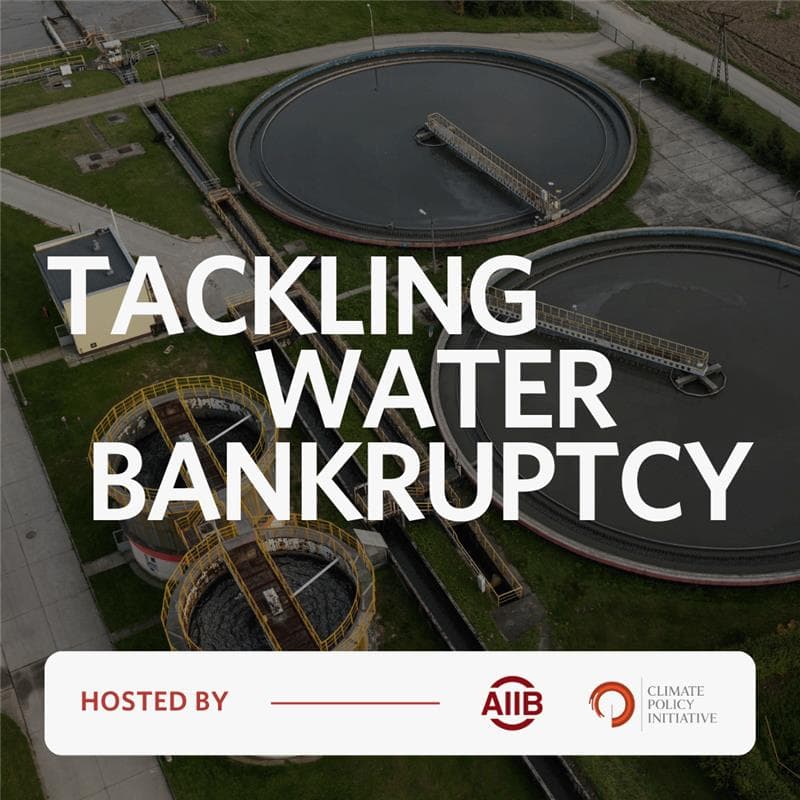 Cover Image for Tackling Water Bankruptcy: The Role of Governance & Finance