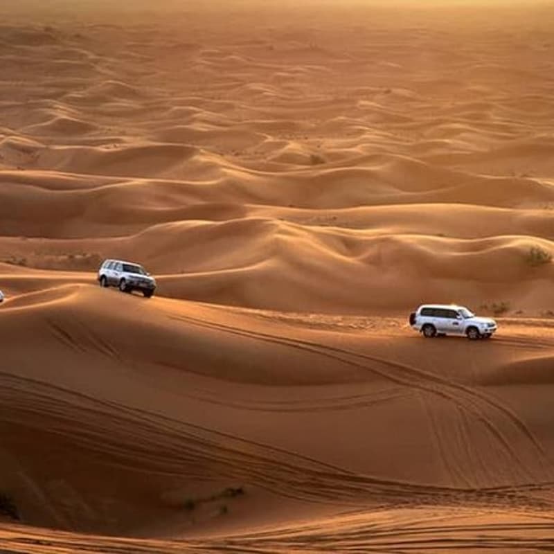 Cover Image for Dubai Trade Mission - Desert Safari