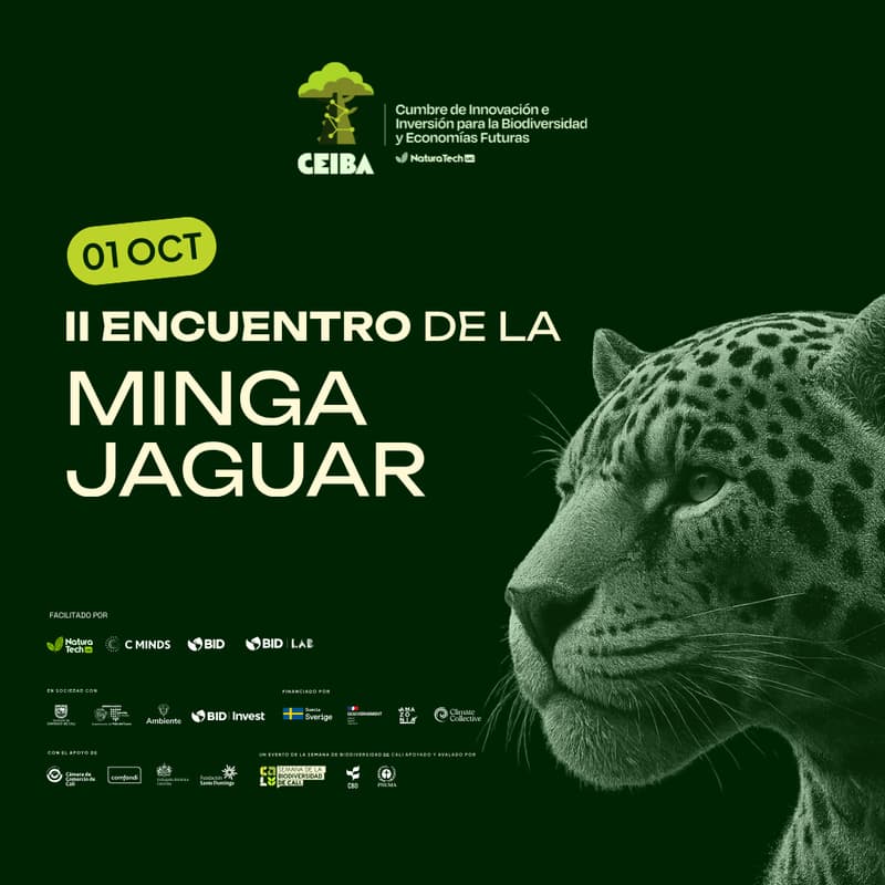 Cover Image for Minga Jaguar - Segundo Encuentro