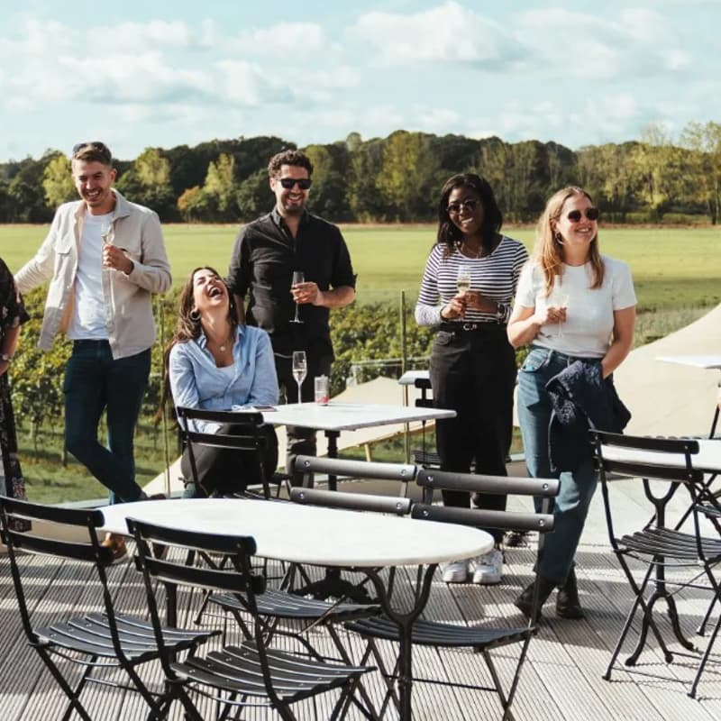 Cover Image for Wine Tasting Challenge, 3 Course Lunch & Private Tour of Balfour Winery