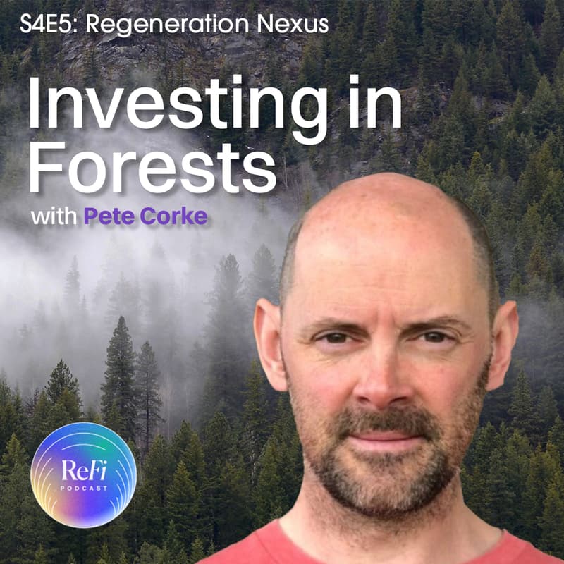Cover Image for 🎙️ReFi Podcast S4 Ep5 Community Discussion – Investing In Forests 🌲