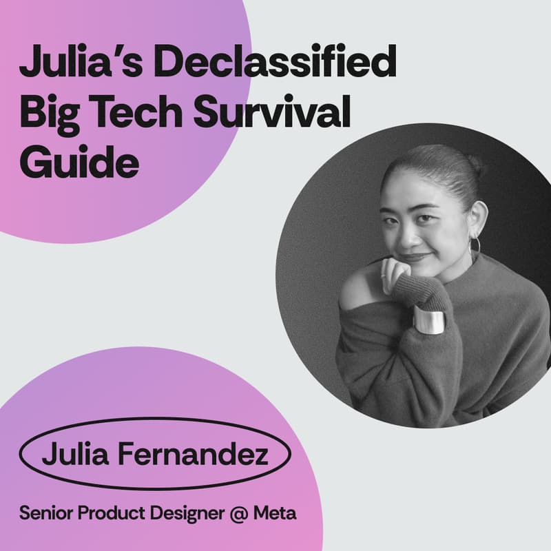 Cover Image for Julia’s Declassified Big Tech Survival Guide