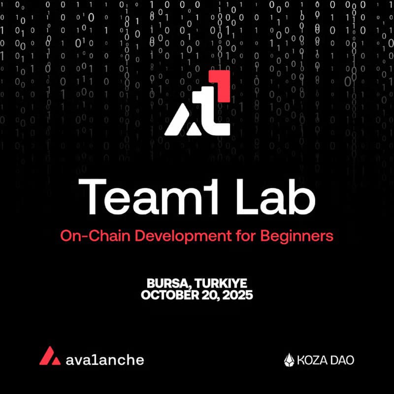 Cover Image for Team1 Lab | On-Chain Development for Beginners