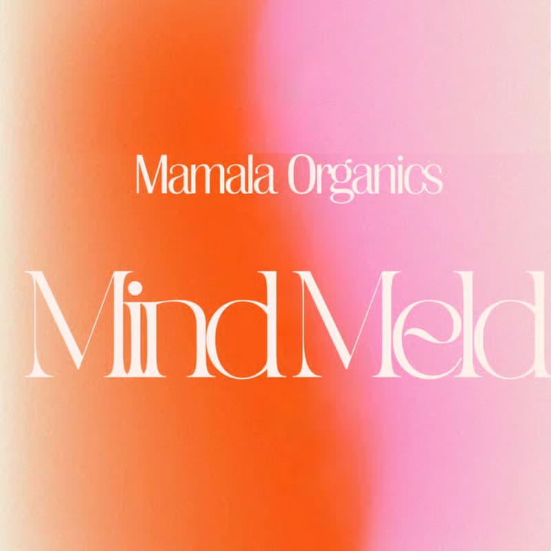 Cover Image for Mamala Mind Meld x VAVI