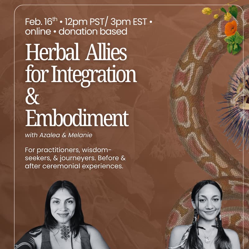 Cover Image for Herbal Allies for Integration & Embodiment