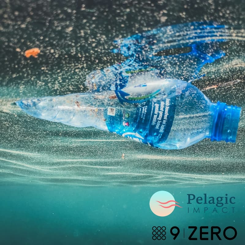 Cover Image for Marine Debris Impacts and Solutions