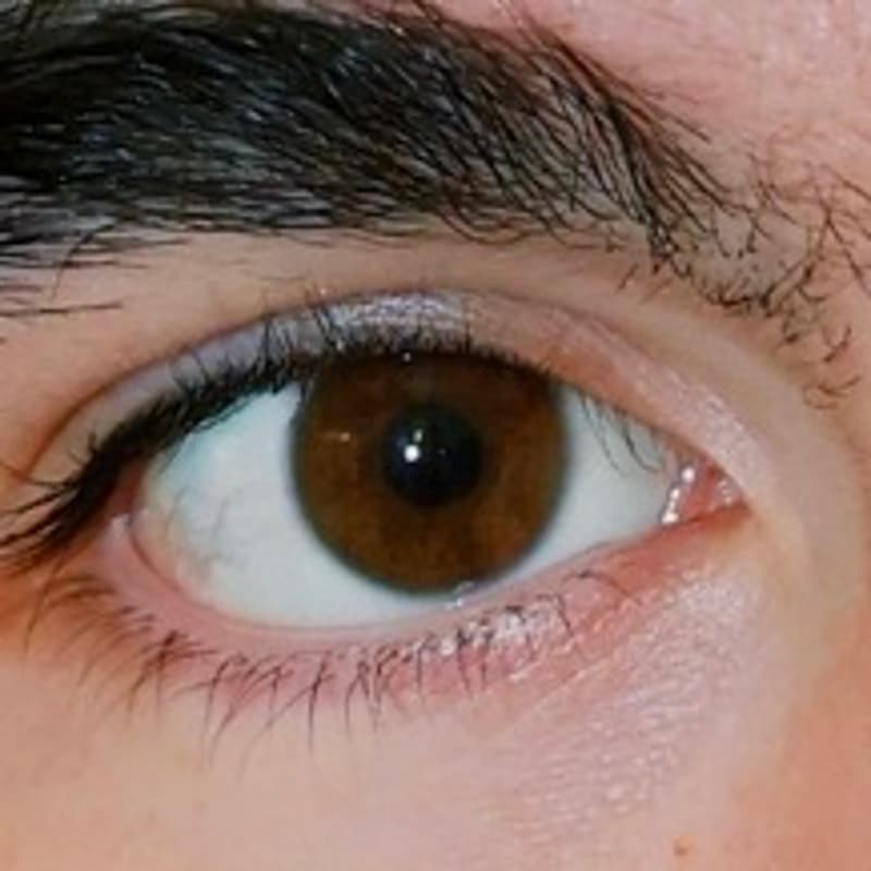 Cover Image for eye contact