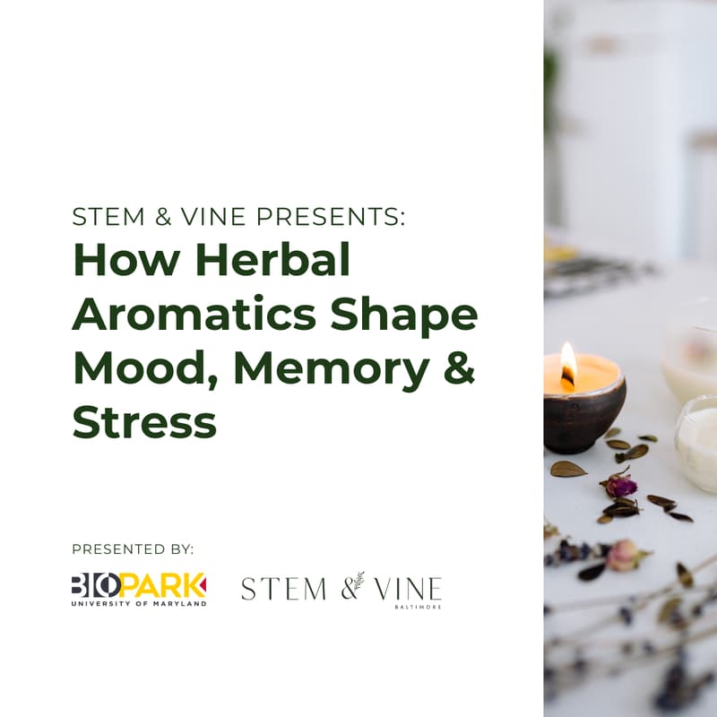 Cover Image for Stem & Vine Presents... How Herbal Aromatics Shape Mood, Memory & Stress