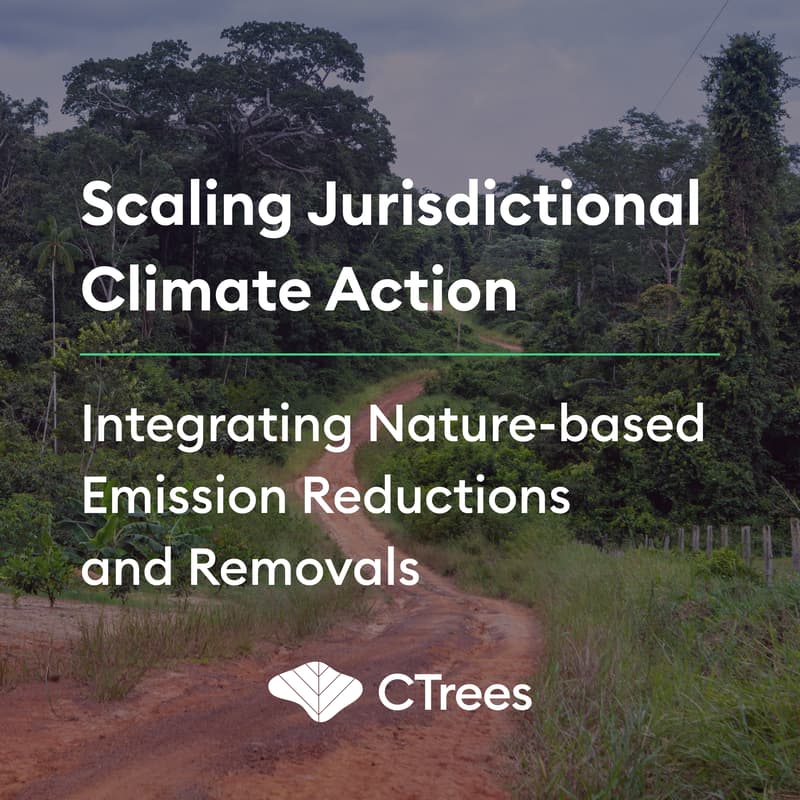 Cover Image for Scaling Jurisdictional Climate Action:  Integrating Nature-based Emission Reductions and Removals