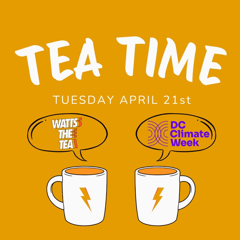 Cover Image for Tea Time in the Park