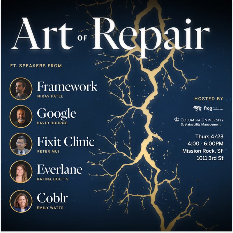 Cover Image for The Art of Repair
