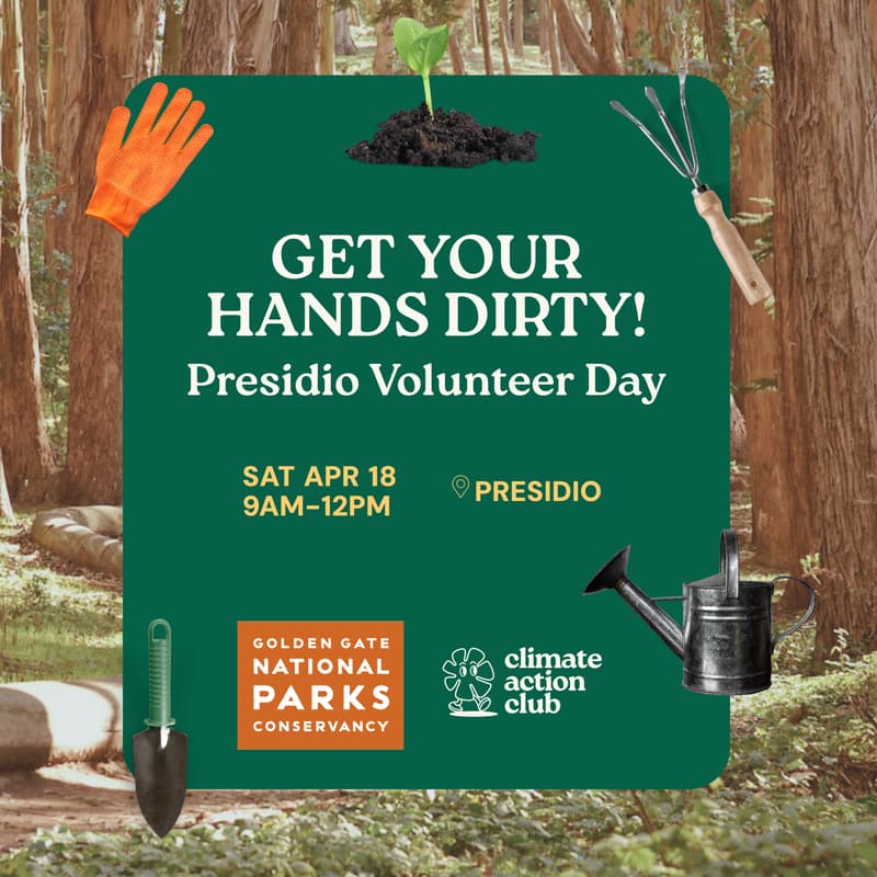 Cover Image for Climate Action Club + Golden Gate National Park Volunteer Day