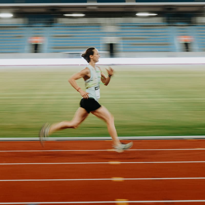 Cover Image for Open Stadium: Flower Power Edition