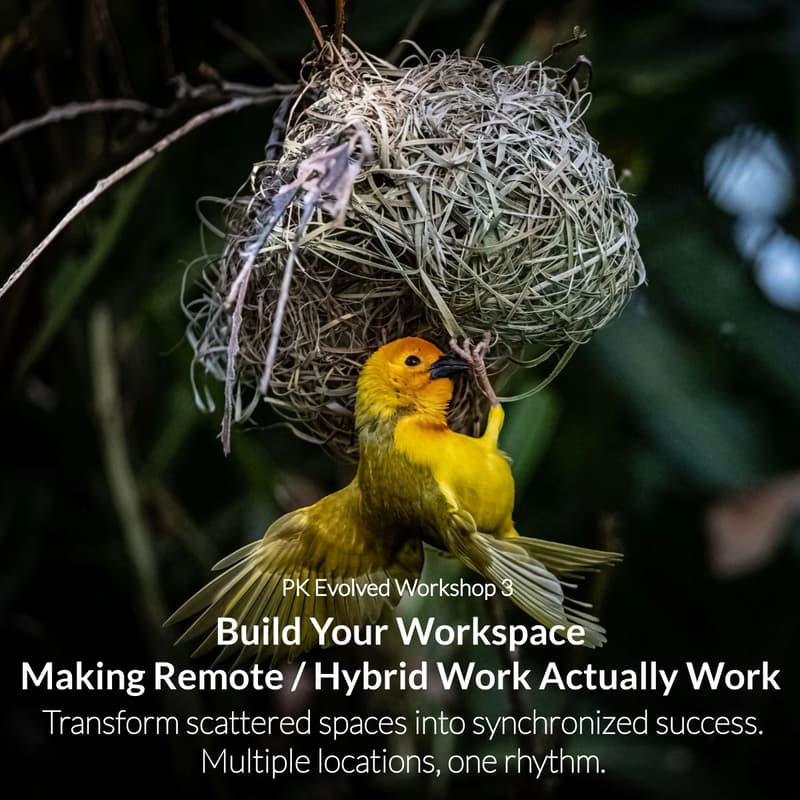Cover Image for Personal Kanban Evolved 3: Build Your Workspace