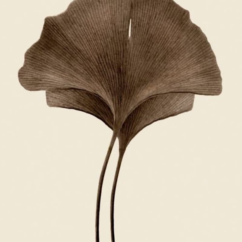 Cover Image for Return to Center: A Fall Equinox Retreat