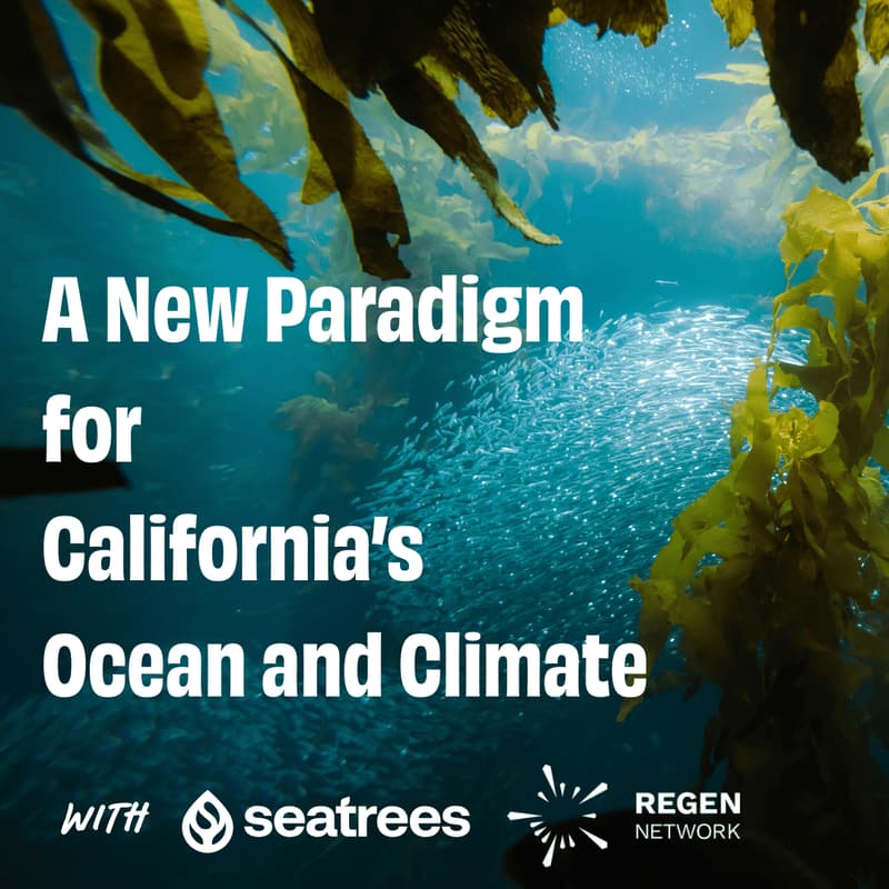 Cover Image for A New Paradigm for California's Ocean & Climate